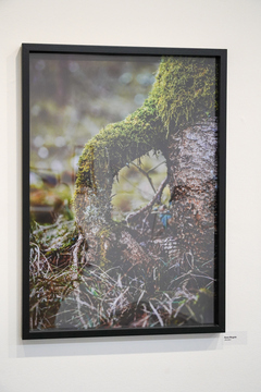 Odprtje fotografske razstave Meje (7)